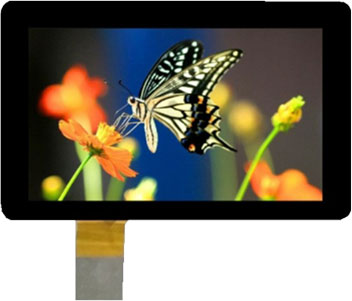 Special Shape LCD TFT Display Module